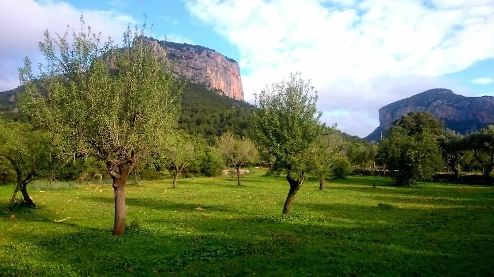 Orengar Alaro 4*,  Spain